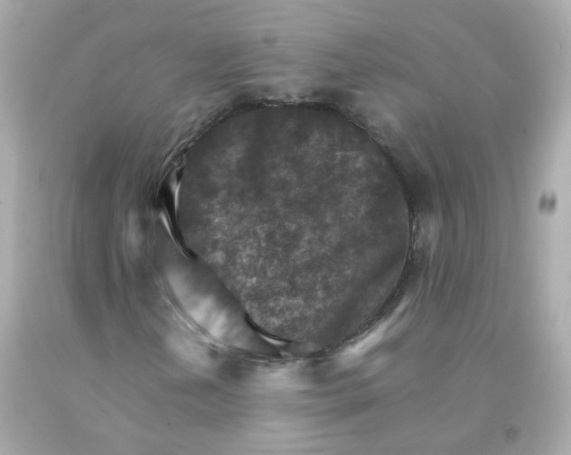 X0000093151202200710241355