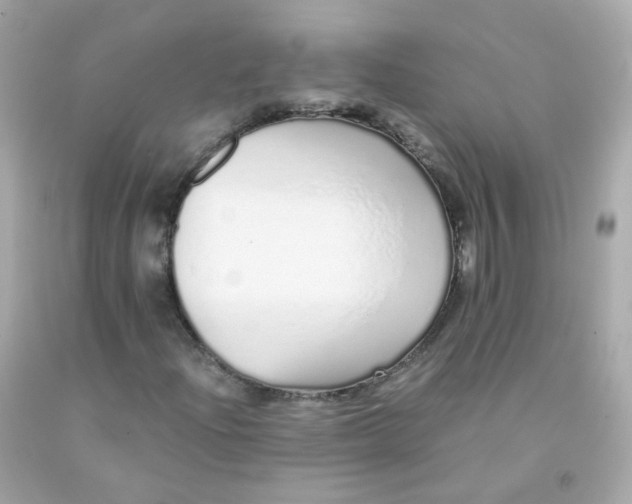 X0000093151204200710241355