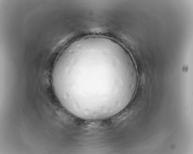 X0000093151205200710241355