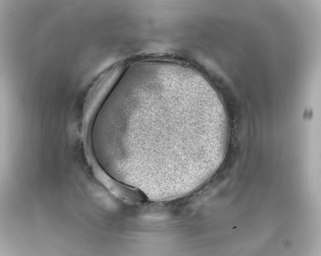 X0000093151206200710241355