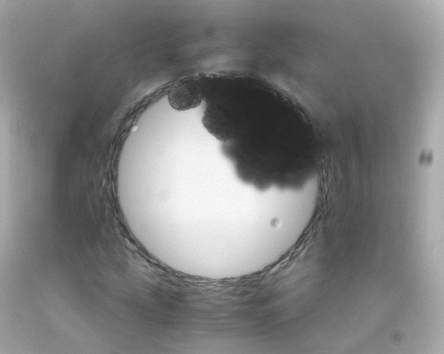 X0000093151207200710241355