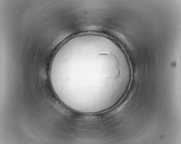 X0000093151209200710241355