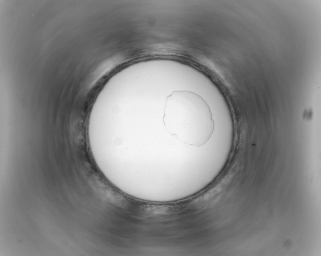 X0000093151211200710241355