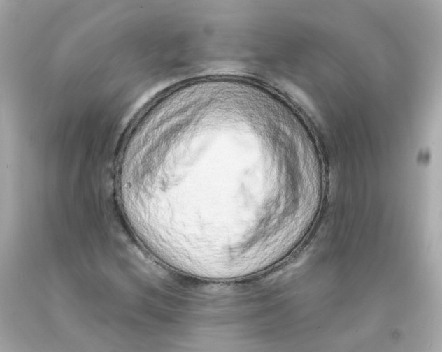 X0000093151212200710241356