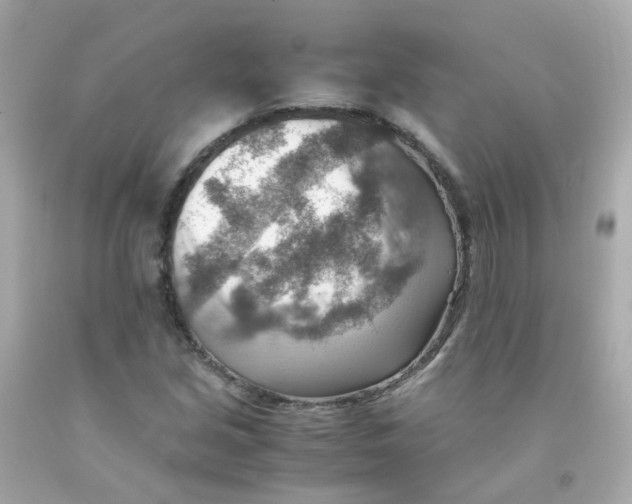 X0000093151213200710241356