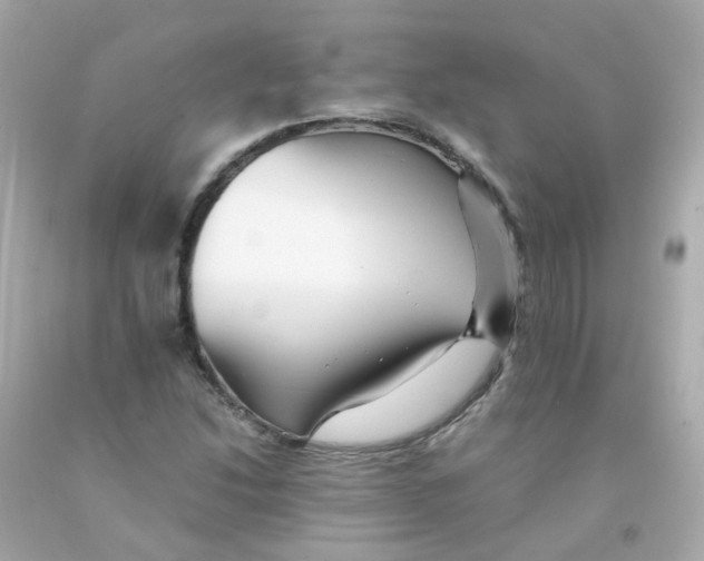 X0000093151214200710241356