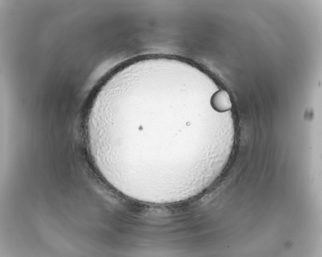 X0000093151215200710241356