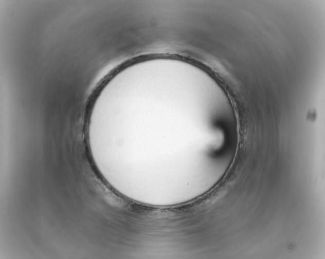 X0000093151216200710241356