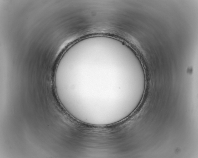 X0000093151218200710241356