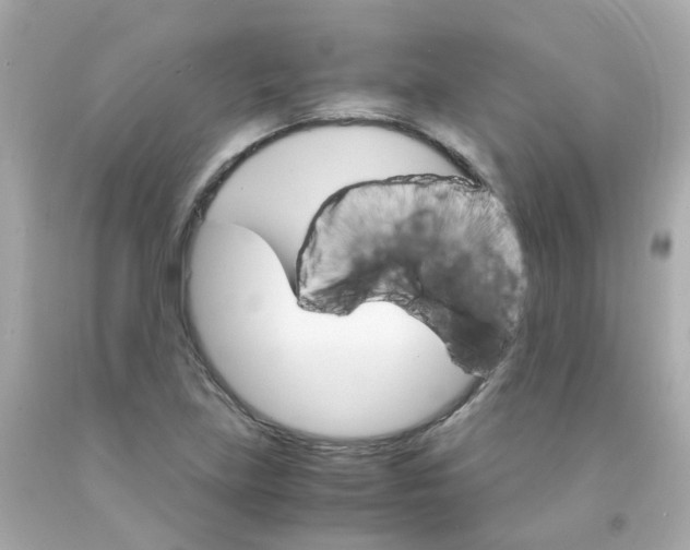 X0000093151219200710241356