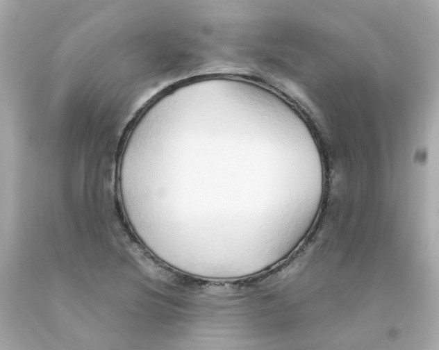 X0000093151220200710241356