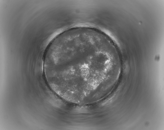 X0000093151221200710241356