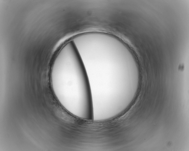 X0000093151222200710241356