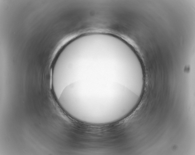 X0000093151223200710241356