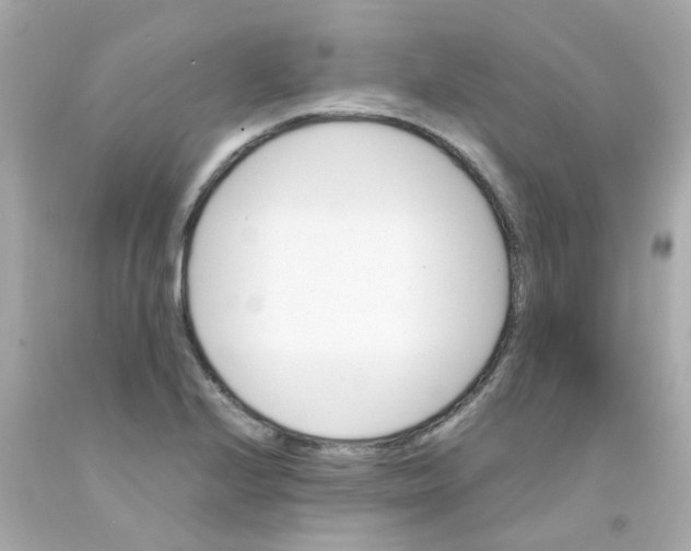 X0000093151224200710241356