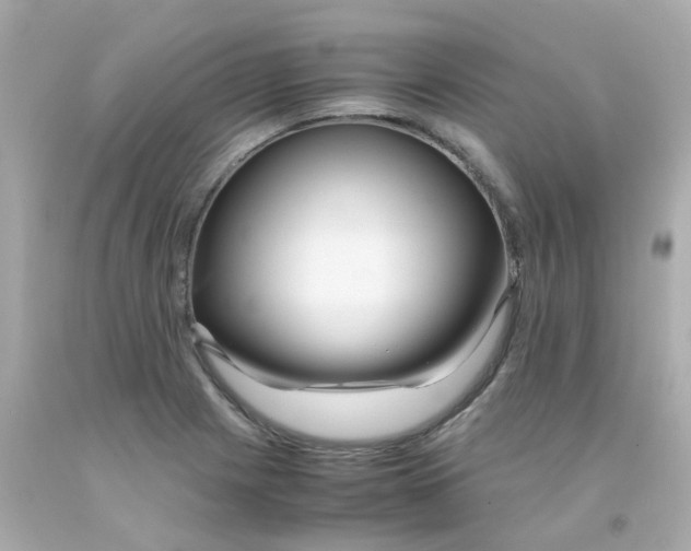 X0000093151225200710241356