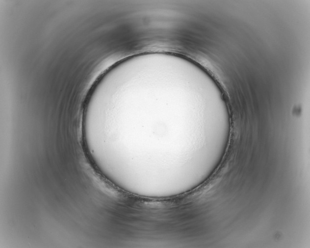 X0000093151227200710241356