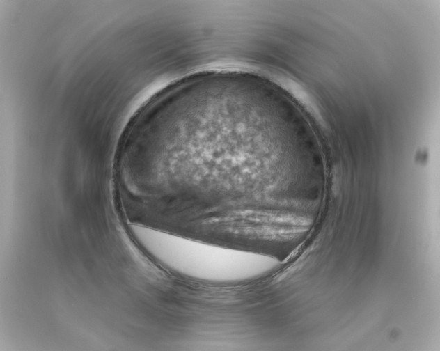 X0000093151229200710241356