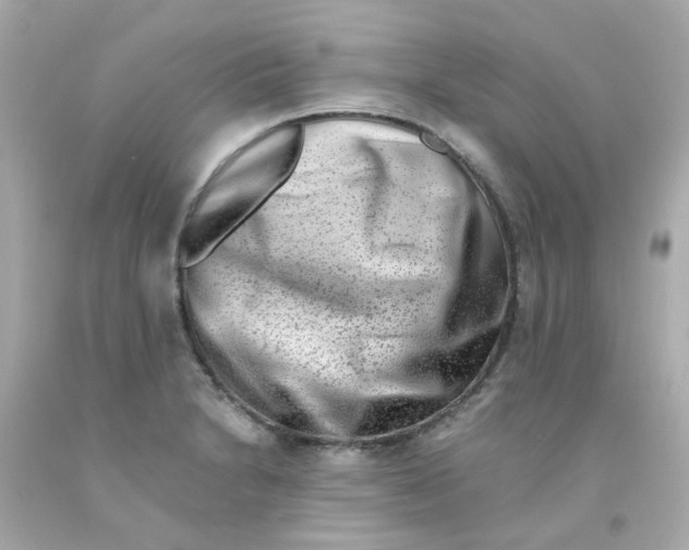 X0000093151230200710241356