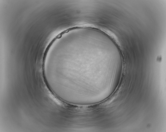 X0000093151231200710241356