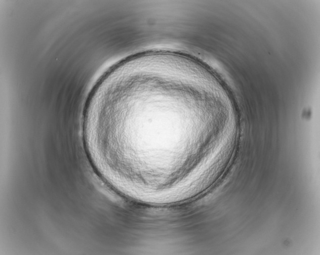 X0000093151232200710241356