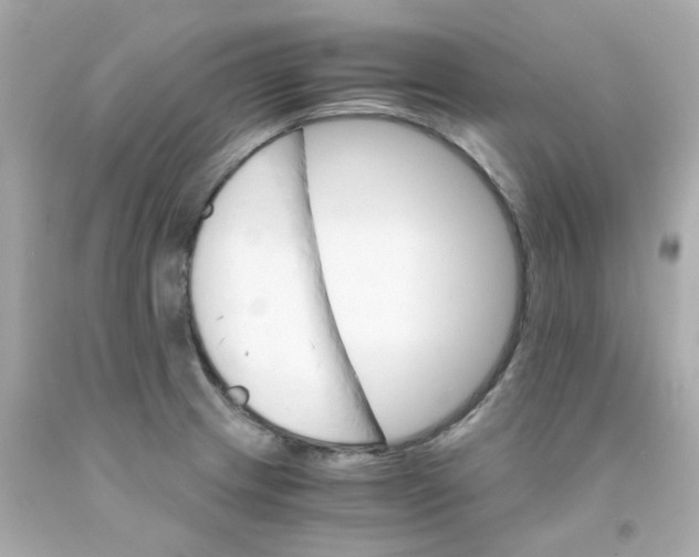 X0000093151233200710241356