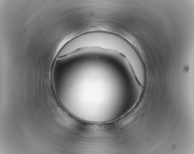 X0000093151234200710241356