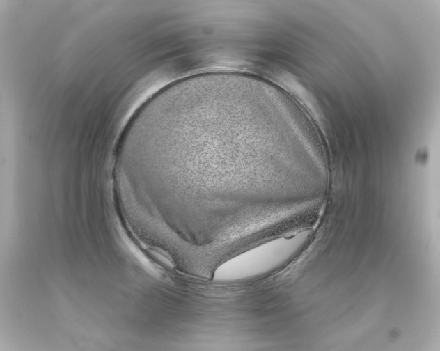 X0000093151235200710241356