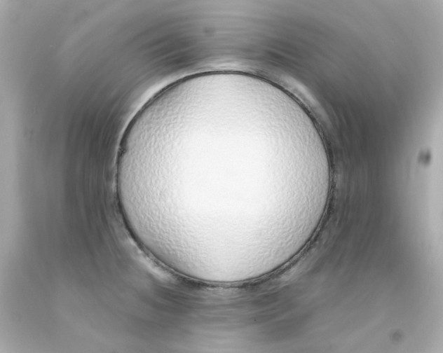 X0000093151236200710241356