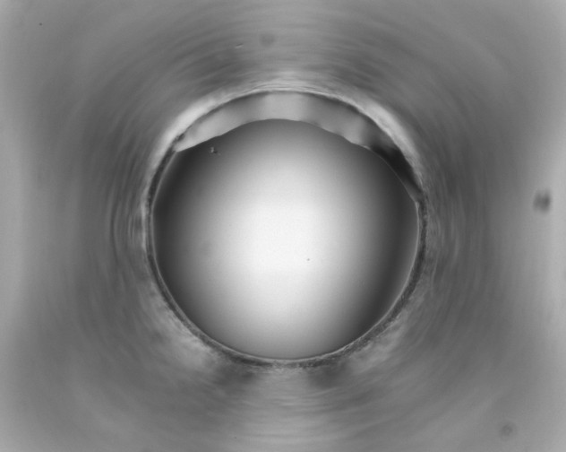 X0000093151238200710241356