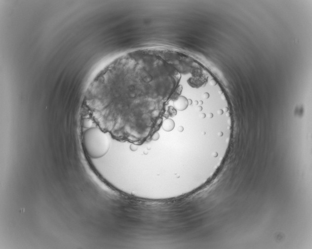 X0000093151239200710241356