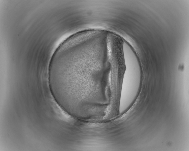 X0000093151240200710241356