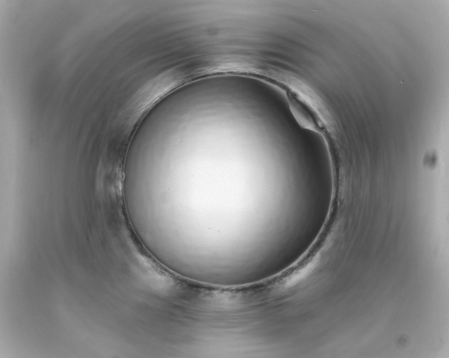 X0000093151241200710241356