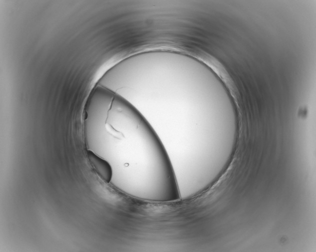 X0000093151242200710241356