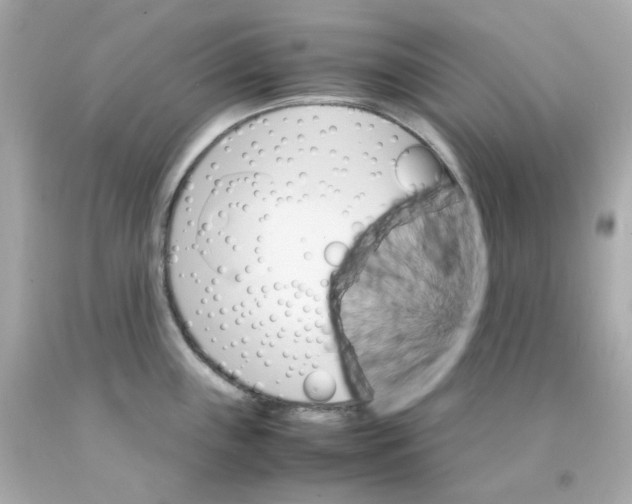 X0000093151243200710241356