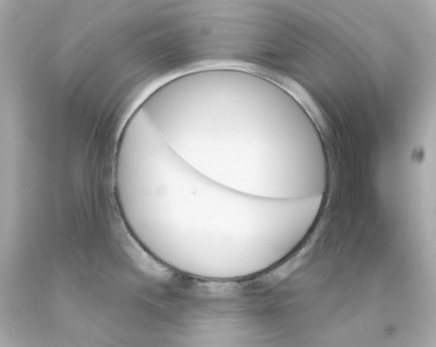 X0000093151244200710241356