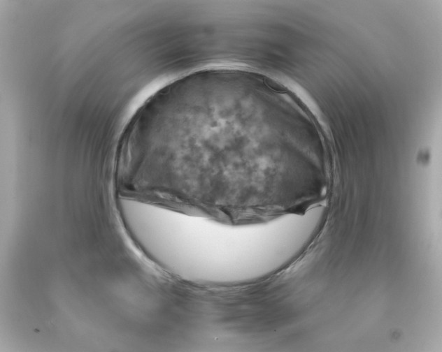 X0000093151245200710241356