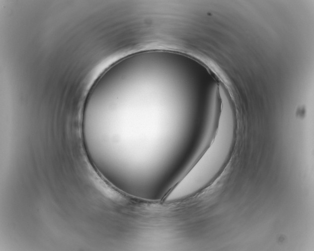 X0000093151246200710241356