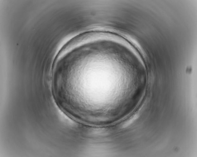 X0000093151247200710241356