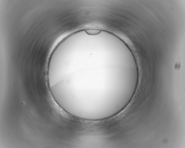 X0000093151248200710241356