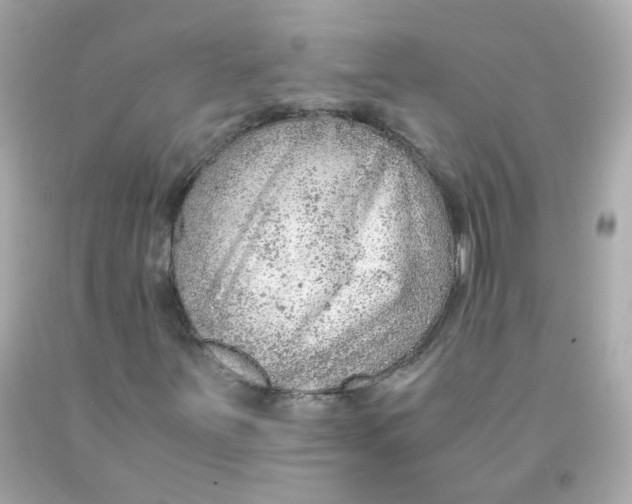 X0000093151251200710241355