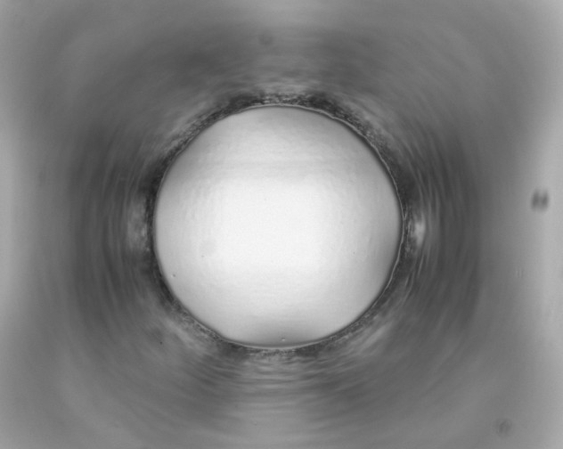 X0000093151252200710241355