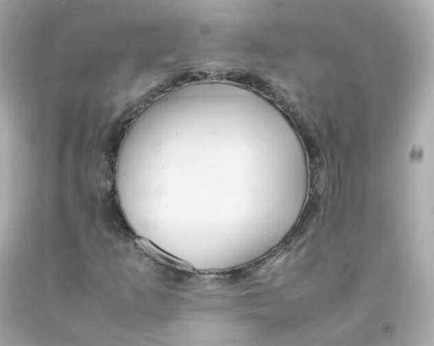 X0000093151253200710241355