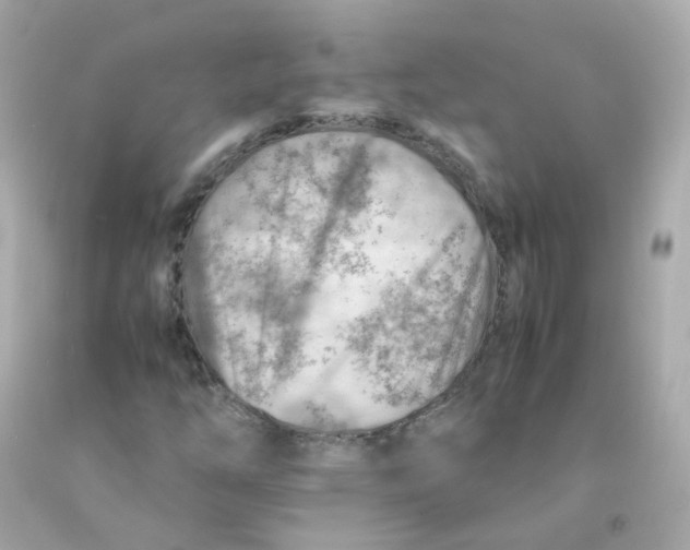 X0000093151254200710241355