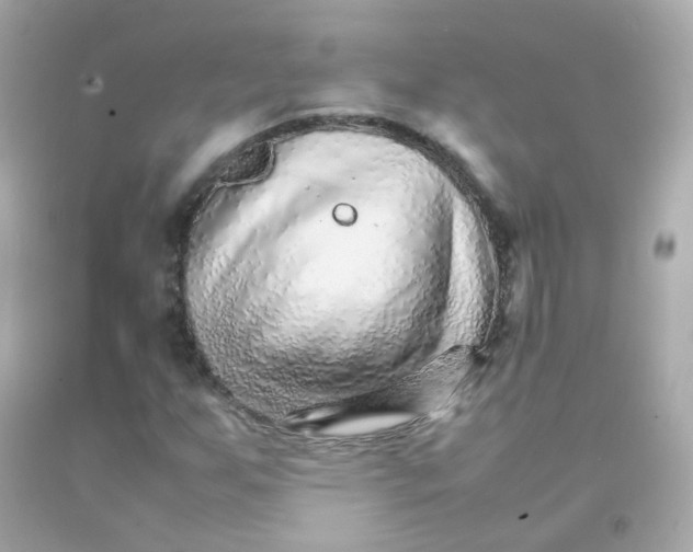 X0000093151255200710241355