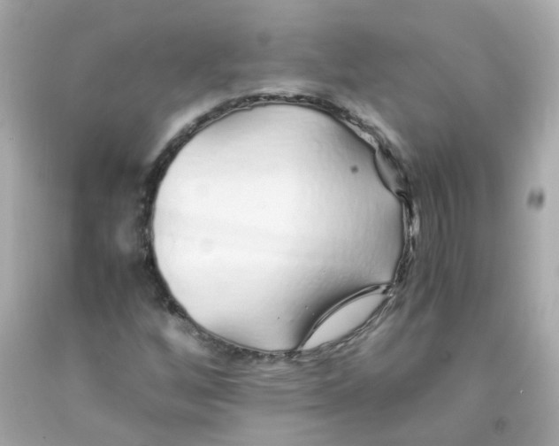 X0000093151256200710241355