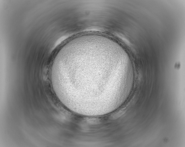 X0000093151258200710241355