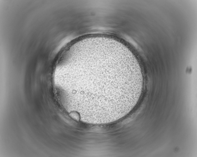 X0000093151259200710241355