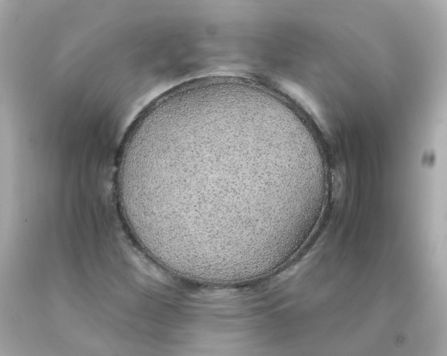 X0000093151260200710241355