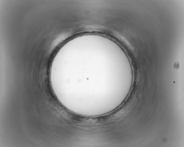 X0000093151261200710241355